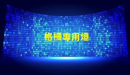 格柵專用燈