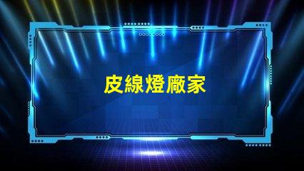 皮線燈廠家