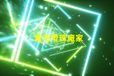 紫光燈珠廠家