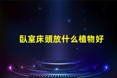 臥室床頭放什么植物好助眠植物推薦與效果分析