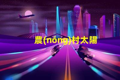 農(nóng)村太陽(yáng)能路燈提升社區(qū)安全與節(jié)能的最佳選擇