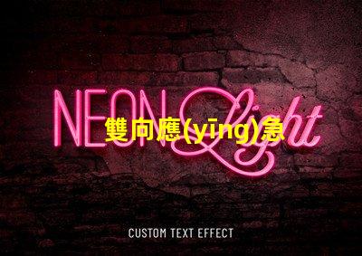 雙向應(yīng)急指示燈保障安全的關(guān)鍵照明解決方案